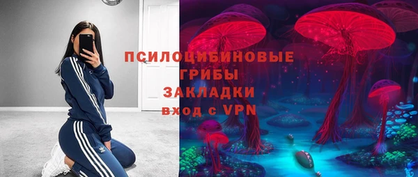 гашик Пестово