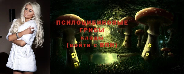 ешки Майский