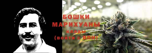 тгк Магас