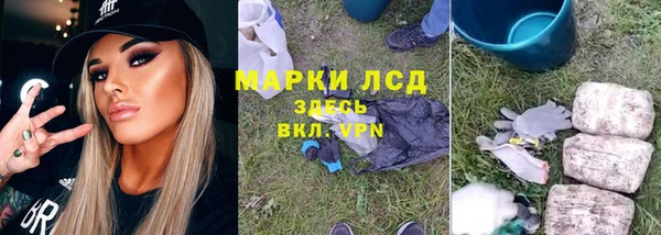 тгк Магас