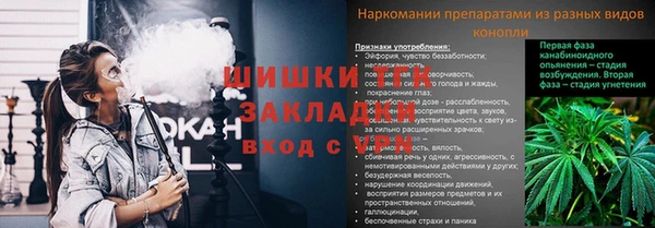тгк Магас