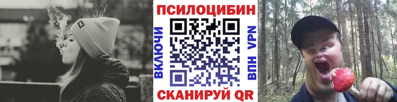 где купить наркоту  Новая Усмань  Галлюциногенные грибы мухоморы 